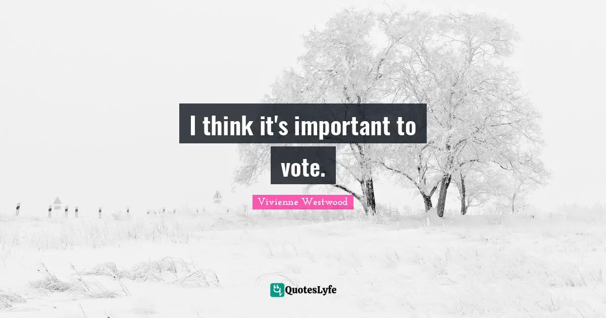 I think it's important to vote.