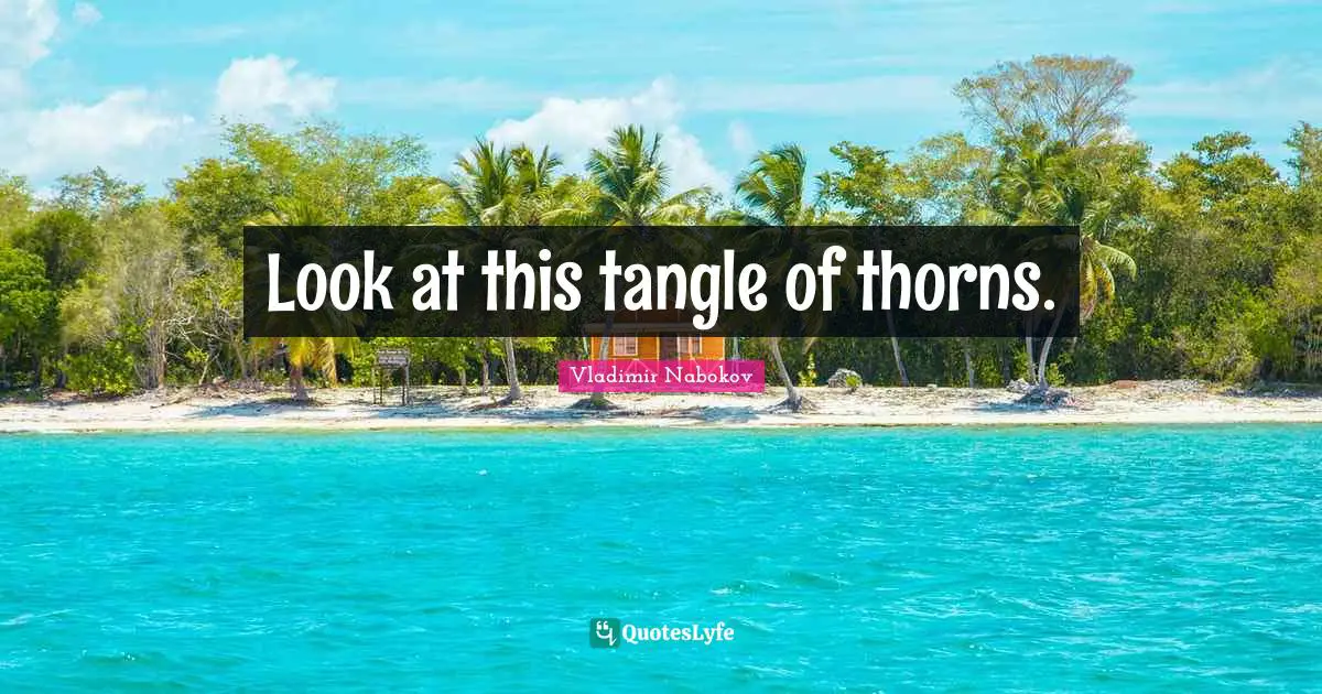 Look at this tangle of thorns.