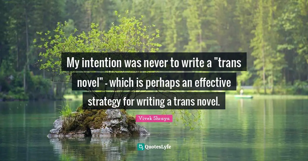 My intention was never to write a "trans novel" - which is perhaps an effective strategy for writing a trans novel.