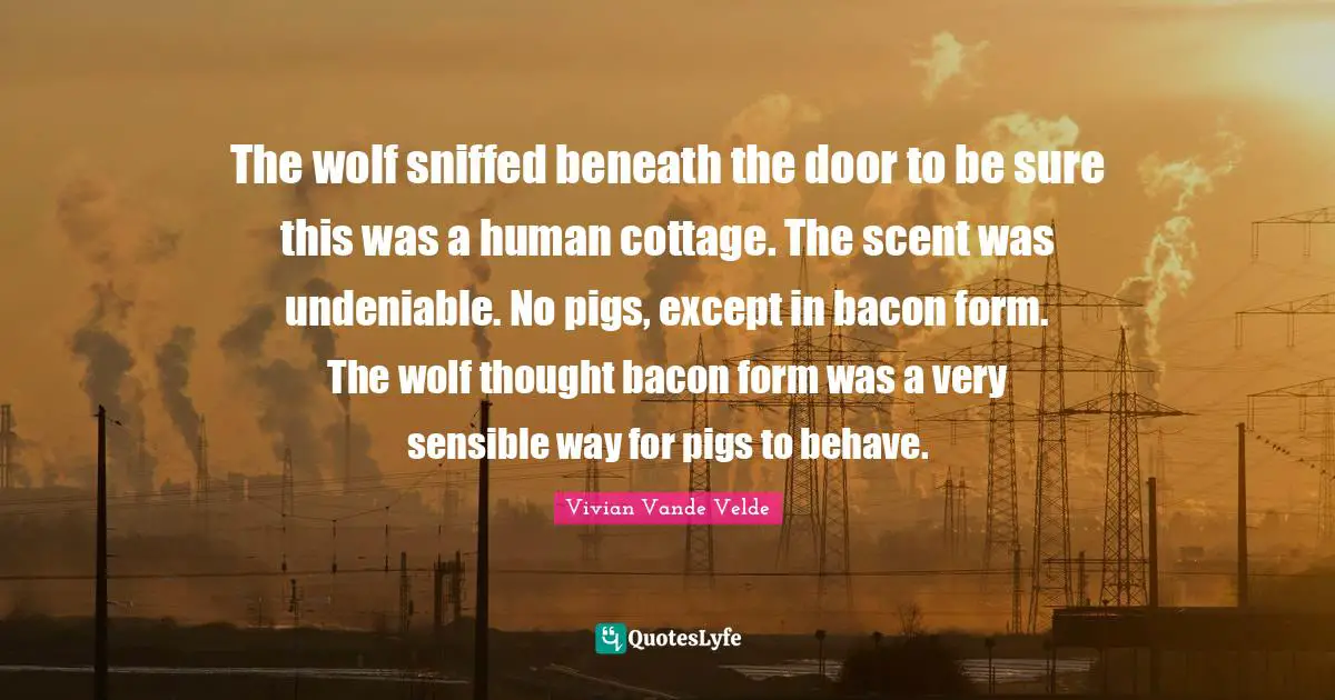 The wolf sniffed beneath the door to be sure this was a human cottage. The scent was undeniable. No pigs, except in bacon form. The wolf thought bacon form was a very sensible way for pigs to behave.