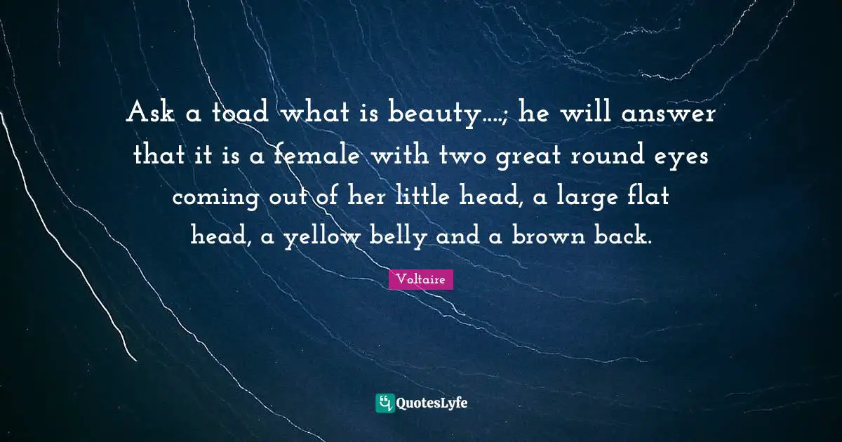 Belly Quotes: "Ask a toad what is beauty....; he will answer that it is a female with two great round eyes coming out of her little head, a large flat head, a yellow belly and a brown back."