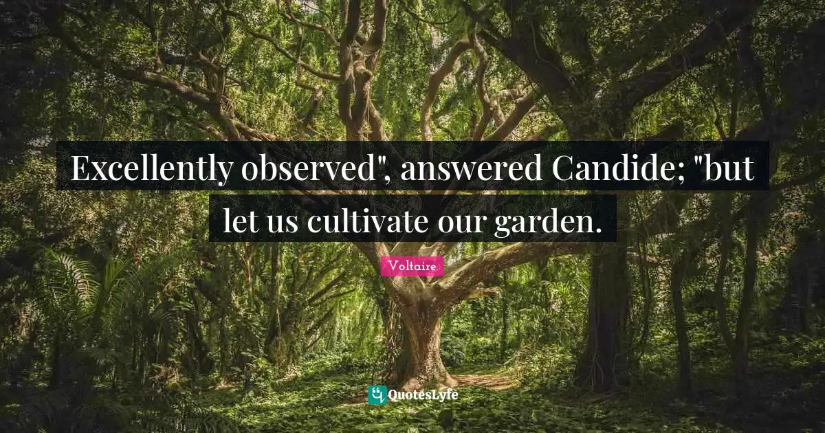 Excellently observed", answered Candide; "but let us cultivate our garden.