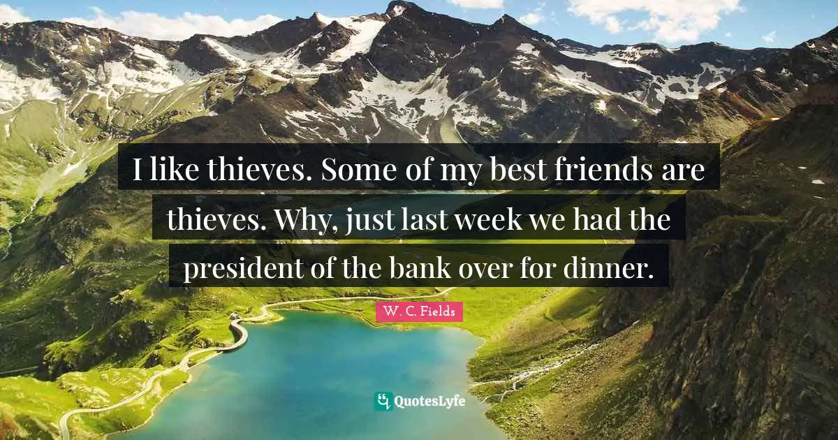 I like thieves. Some of my best friends are thieves. Why, just last week we had the president of the bank over for dinner.