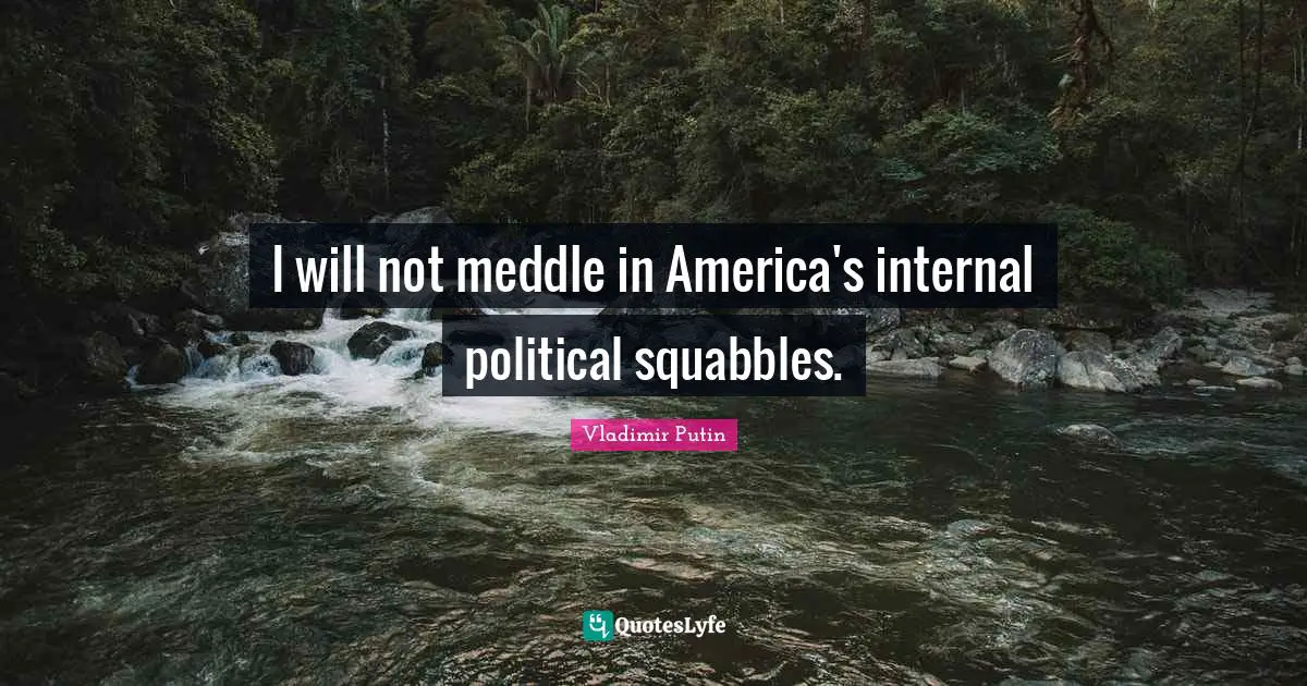 I will not meddle in America's internal political squabbles.