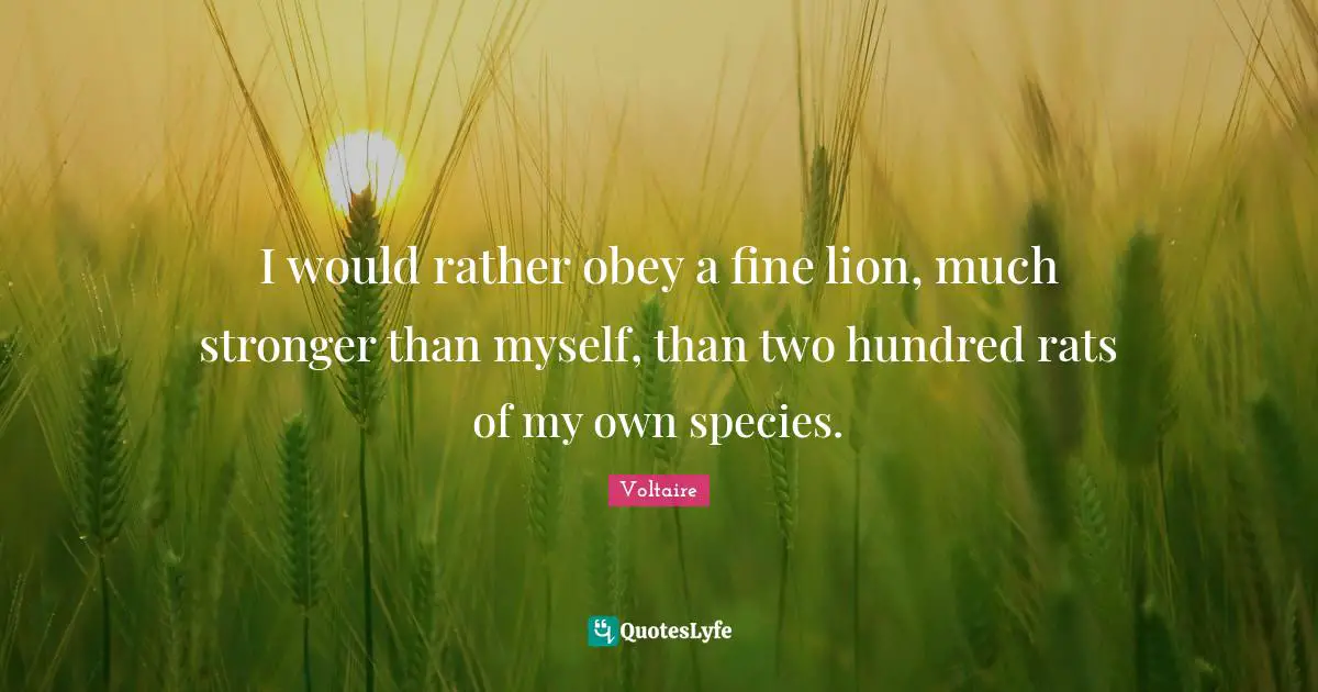 I would rather obey a fine lion, much stronger than myself, than two hundred rats of my own species.