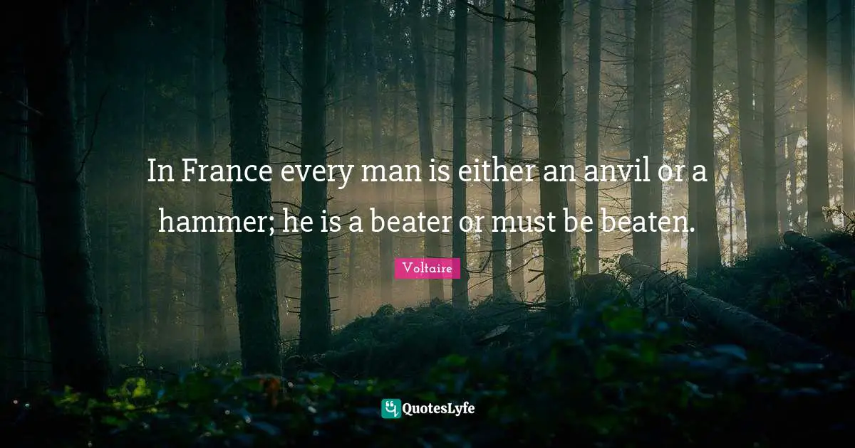In France every man is either an anvil or a hammer; he is a beater or must be beaten.
