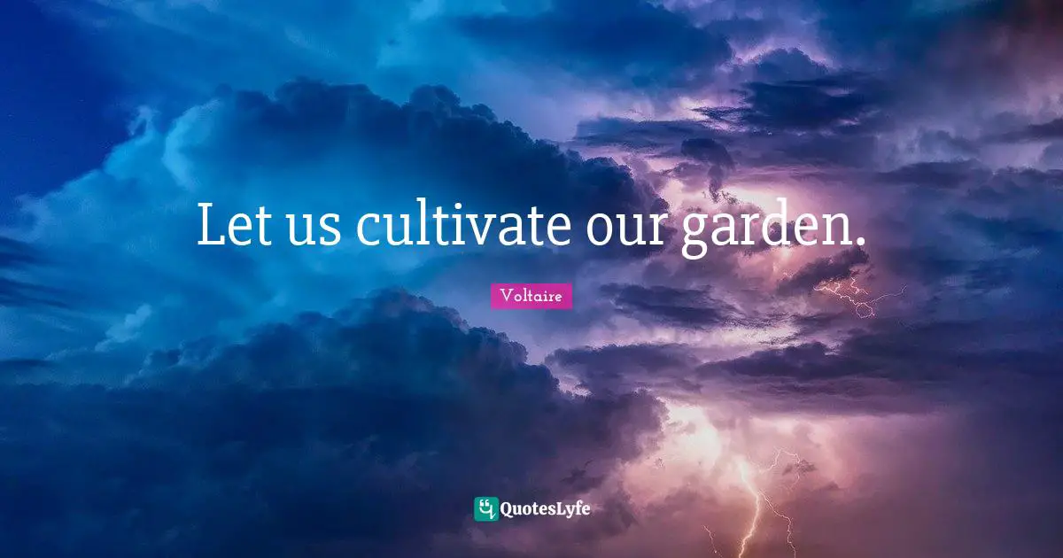 Let us cultivate our garden.