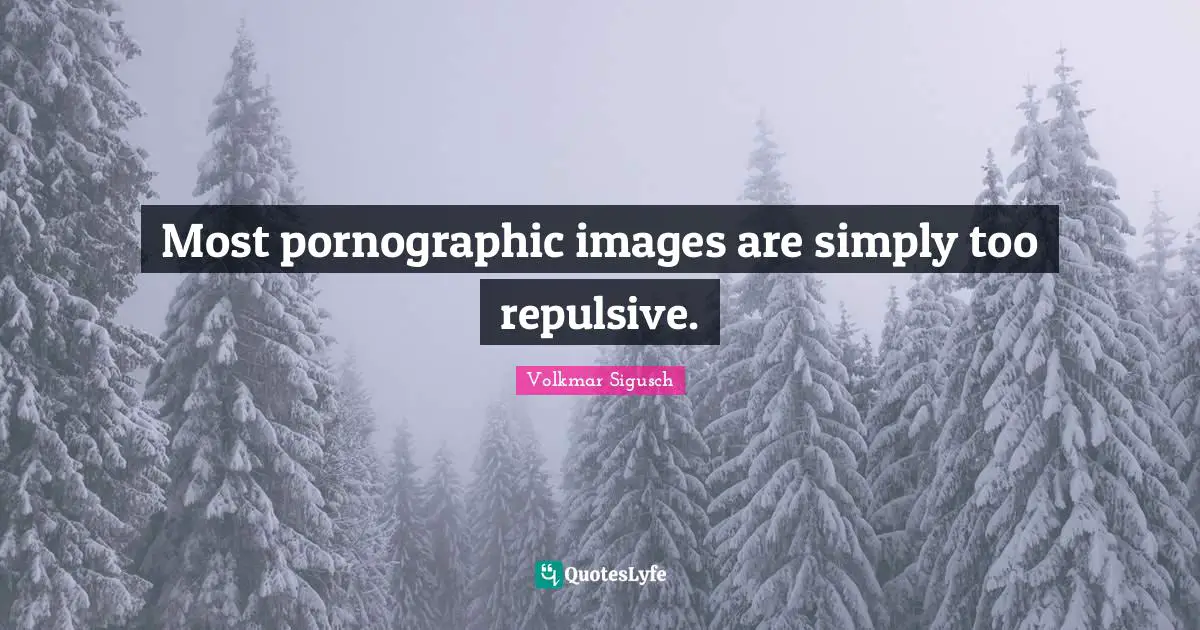 Most pornographic images are simply too repulsive.