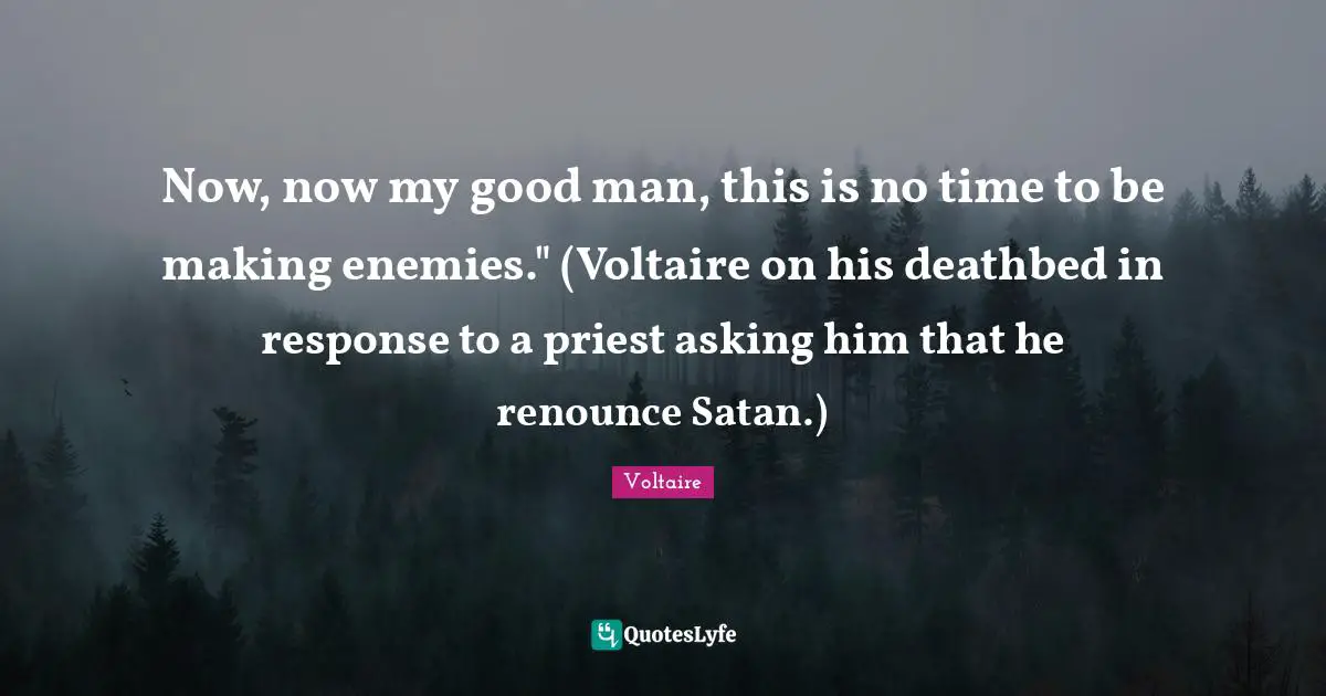 Now, now my good man, this is no time to be making enemies." (Voltaire on his deathbed in response to a priest asking him that he renounce Satan.)
