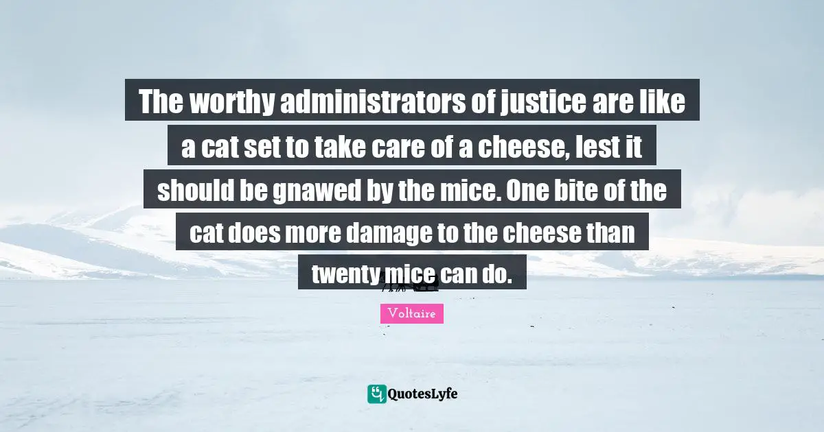 The worthy administrators of justice are like a cat set to take care of a cheese, lest it should be gnawed by the mice. One bite of the cat does more damage to the cheese than twenty mice can do.