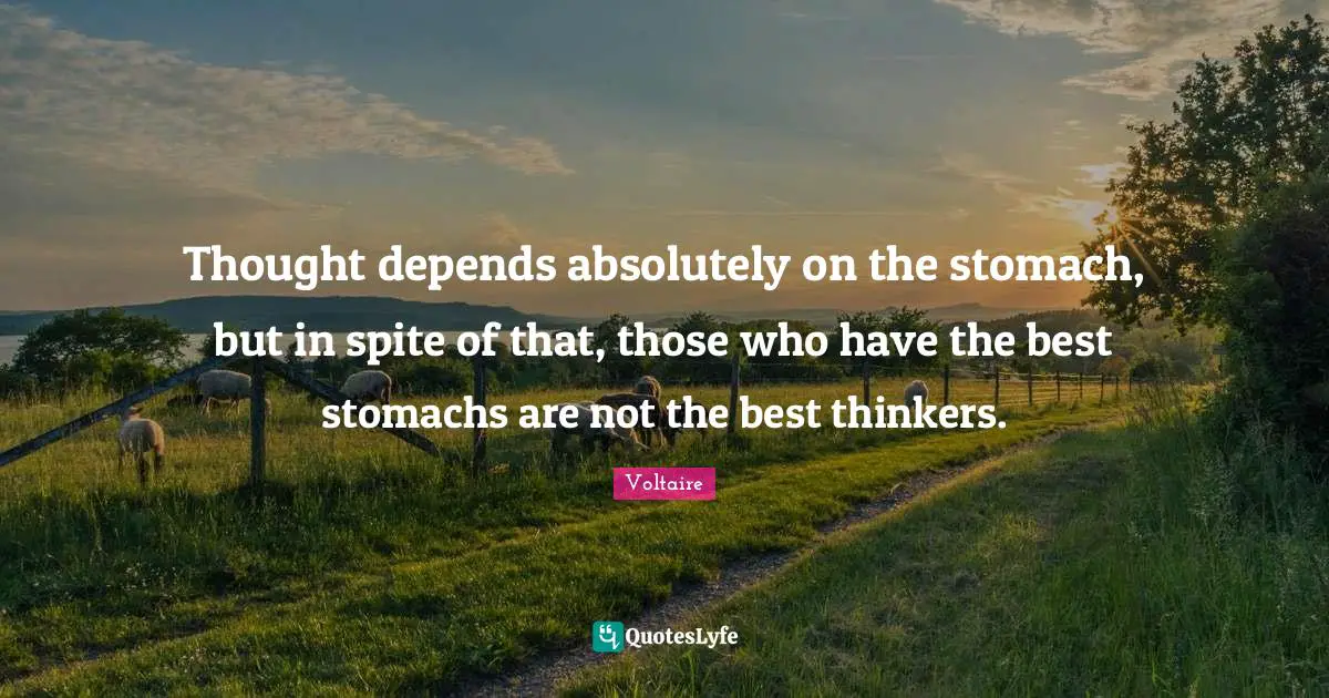 Thought depends absolutely on the stomach, but in spite of that, those who have the best stomachs are not the best thinkers.