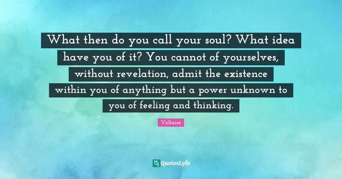 What then do you call your soul? What idea have you of it? You cannot of yourselves, without revelation, admit the existence within you of anything but a power unknown to you of feeling and thinking.