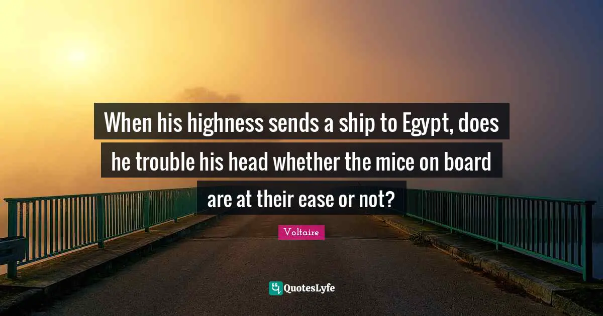 Highness Quotes: "When his highness sends a ship to Egypt, does he trouble his head whether the mice on board are at their ease or not?"