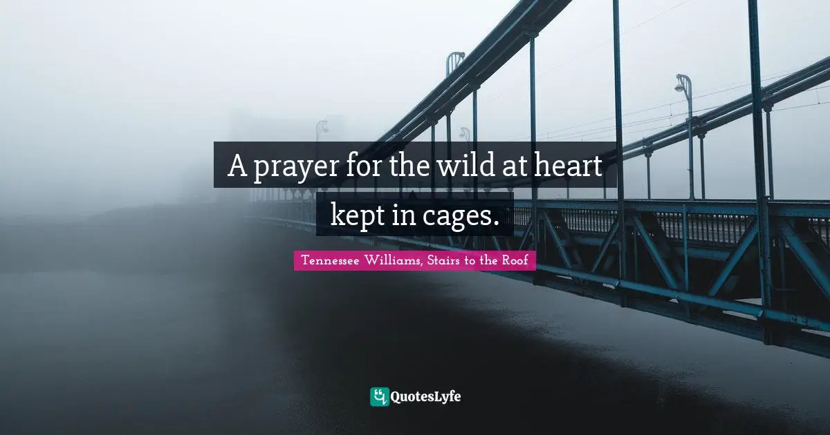 A prayer for the wild at heart kept in cages.