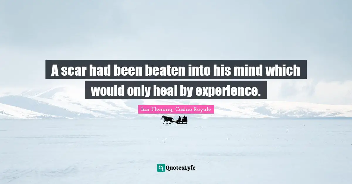 A scar had been beaten into his mind which would only heal by experience.