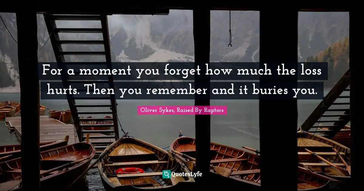 Depression Quotes: "For a moment you forget how much the loss hurts. Then you remember and it buries you."