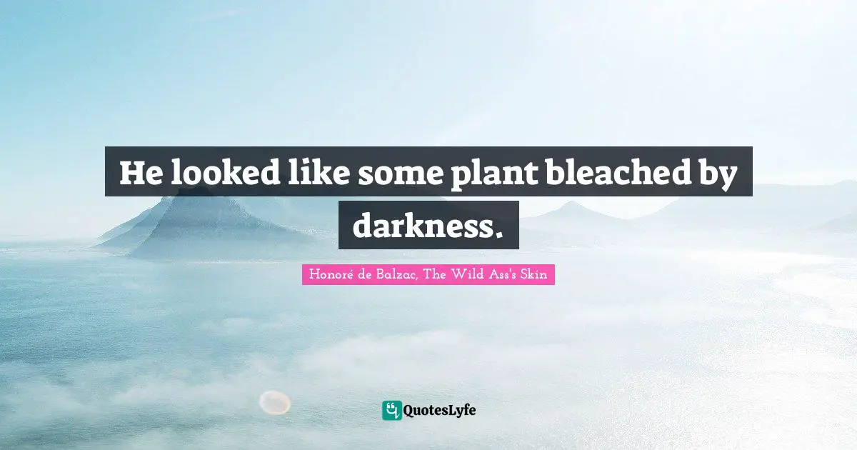 He looked like some plant bleached by darkness.
