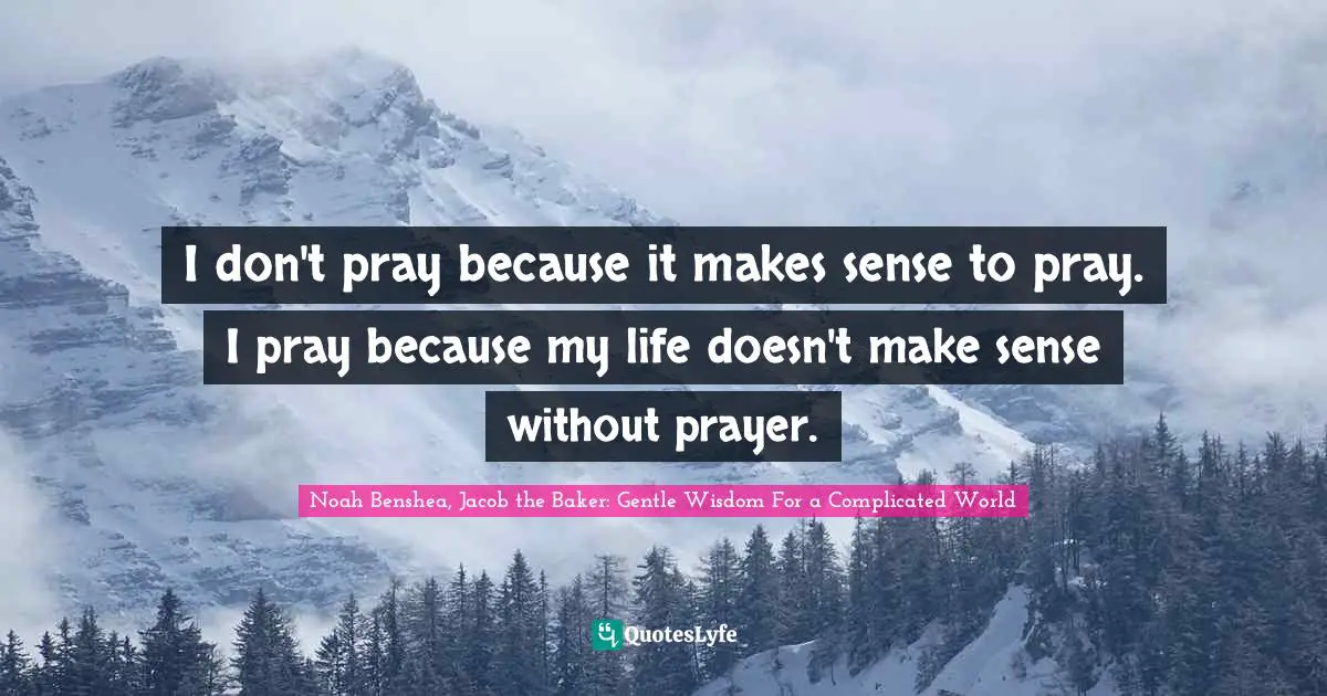I don't pray because it makes sense to pray. I pray because my life doesn't make sense without prayer.