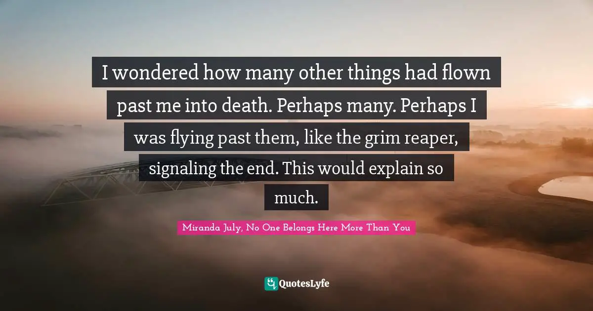 I wondered how many other things had flown past me into death. Perhaps many. Perhaps I was flying past them, like the grim reaper, signaling the end. This would explain so much.