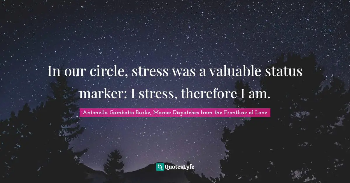 In our circle, stress was a valuable status marker: I stress, therefore I am.