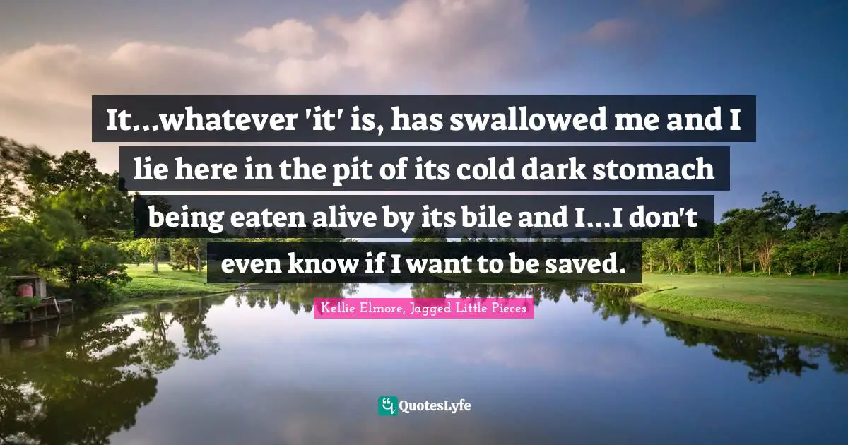 It...whatever 'it' is, has swallowed me and I lie here in the pit of its cold dark stomach being eaten alive by its bile and I...I don't even know if I want to be saved.