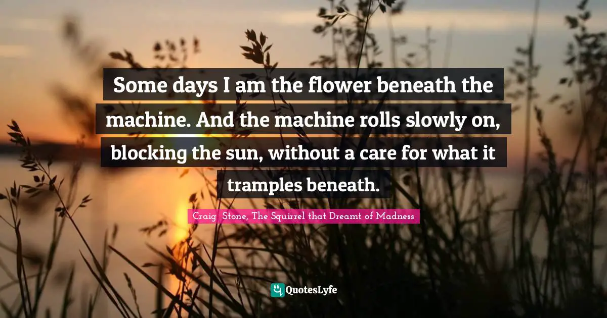 Homelessness Quotes: "Some days I am the flower beneath the machine. And the machine rolls slowly on, blocking the sun, without a care for what it tramples beneath."