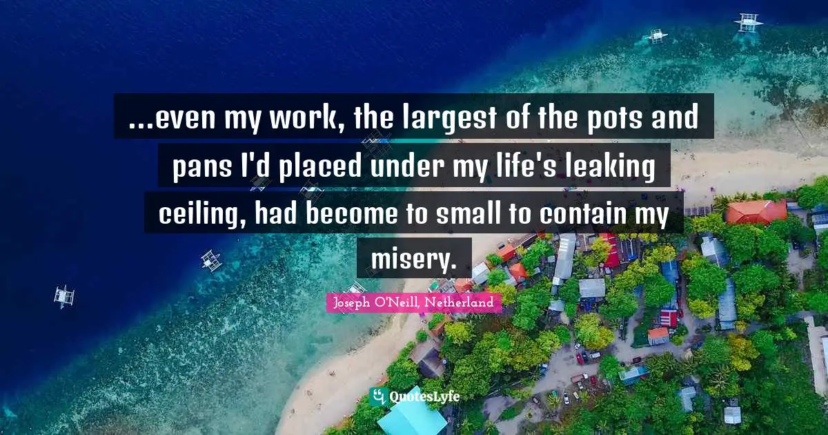 Joseph O'Neill, Netherland Quotes: "...even my work, the largest of the pots and pans I'd placed under my life's leaking ceiling, had become to small to contain my misery."