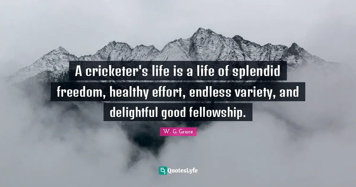 Variety Quotes: "A cricketer's life is a life of splendid freedom, healthy effort, endless variety, and delightful good fellowship."