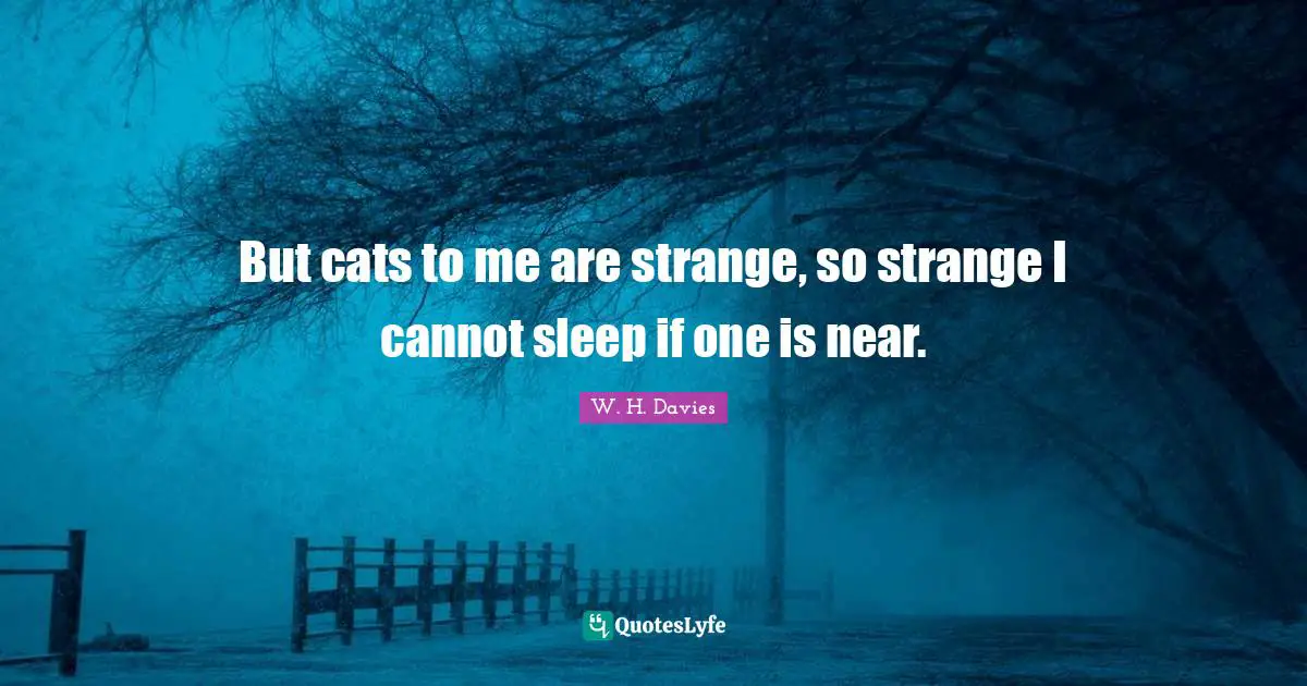 But cats to me are strange, so strange I cannot sleep if one is near.