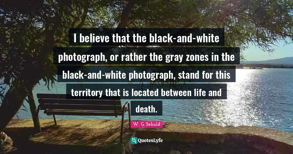 I believe that the black-and-white photograph, or rather the gray zones in the black-and-white photograph, stand for this territory that is located between life and death.