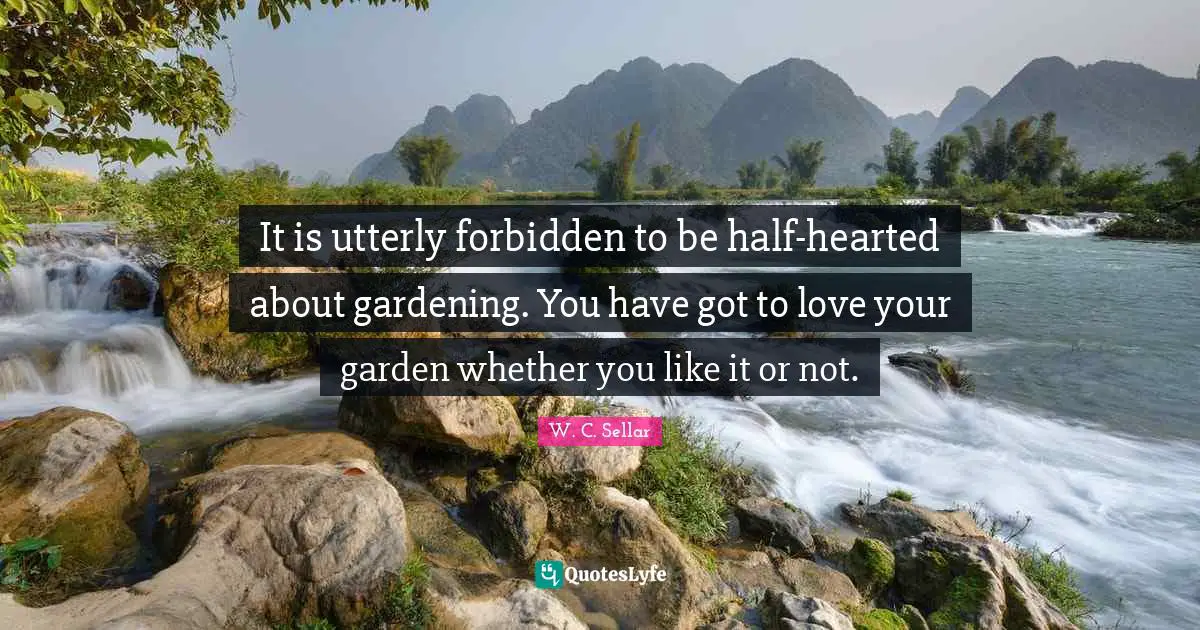 It is utterly forbidden to be half-hearted about gardening. You have got to love your garden whether you like it or not.