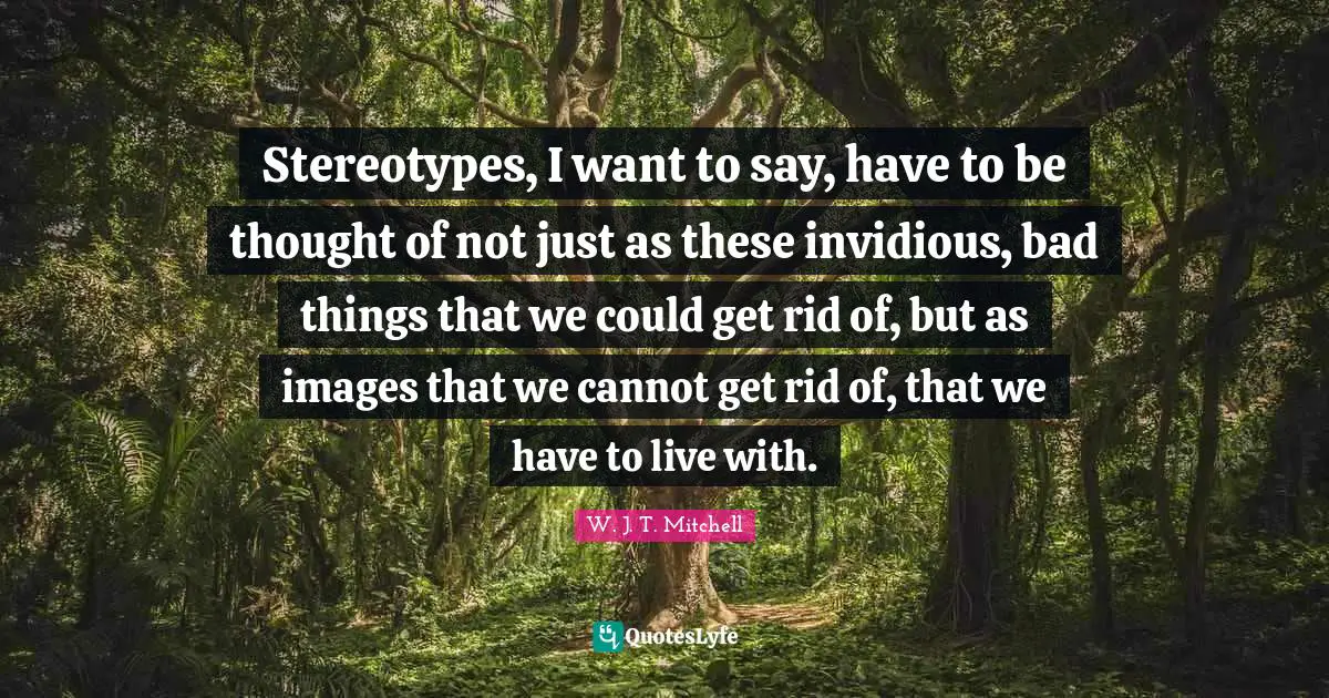 Stereotypes, I want to say, have to be thought of not just as these invidious, bad things that we could get rid of, but as images that we cannot get rid of, that we have to live with.
