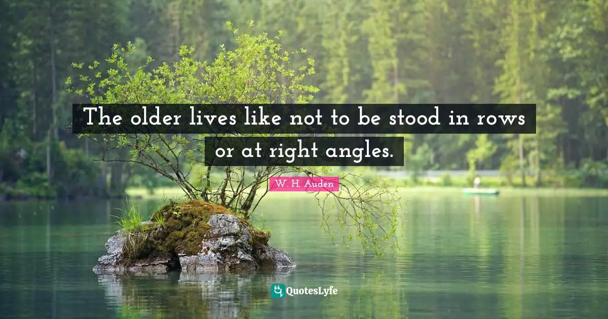 The older lives like not to be stood in rows or at right angles.