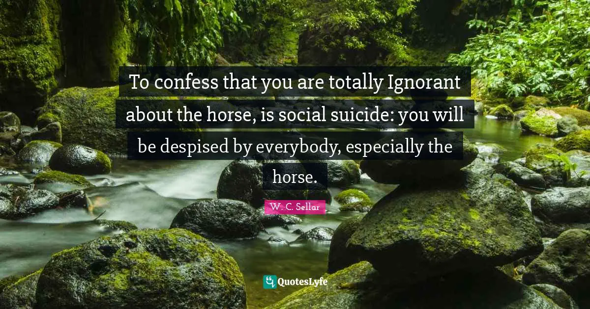 To confess that you are totally Ignorant about the horse, is social suicide: you will be despised by everybody, especially the horse.