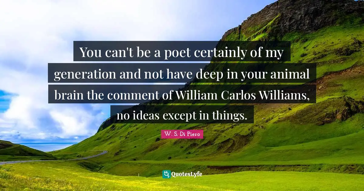 You can't be a poet certainly of my generation and not have deep in your animal brain the comment of William Carlos Williams, no ideas except in things.