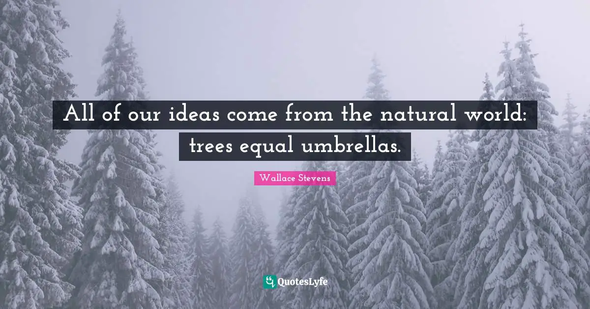 All of our ideas come from the natural world: trees equal umbrellas.
