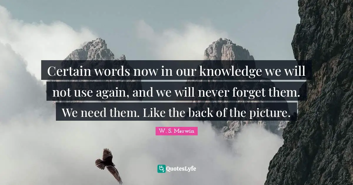 Certain words now in our knowledge we will not use again, and we will never forget them. We need them. Like the back of the picture.