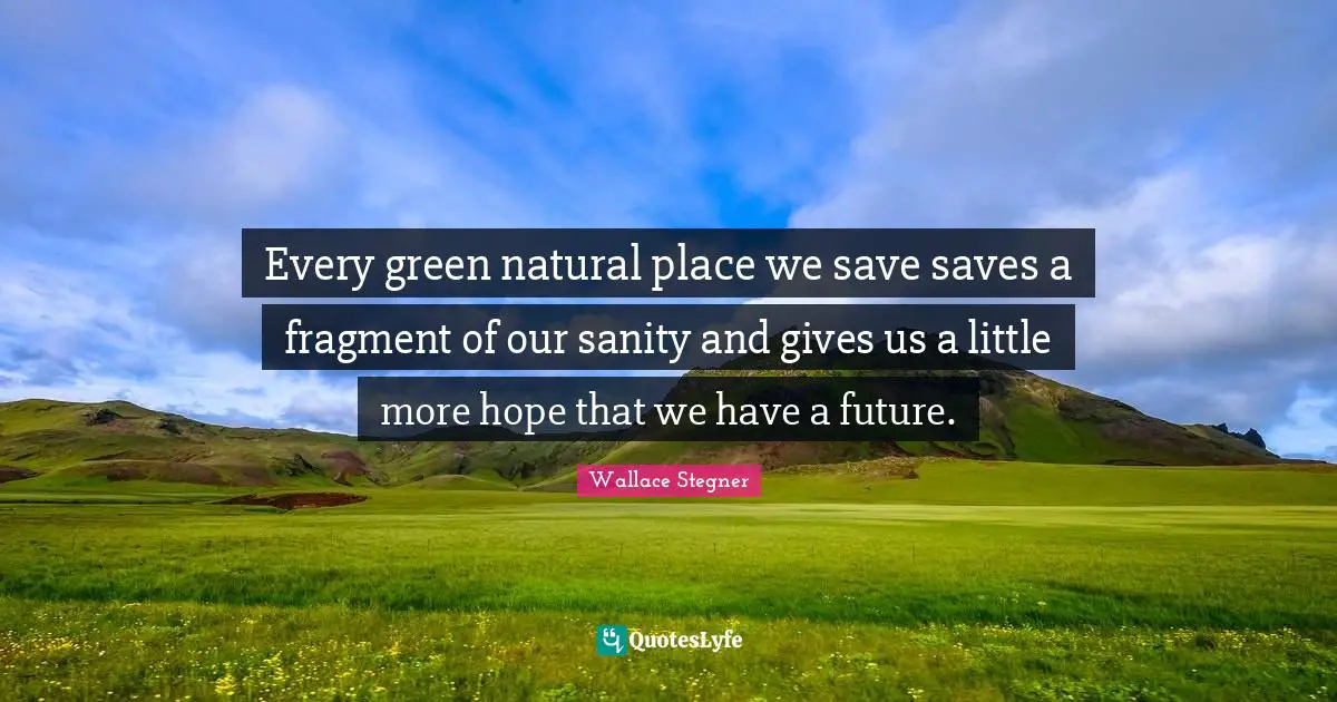 Every green natural place we save saves a fragment of our sanity and gives us a little more hope that we have a future.