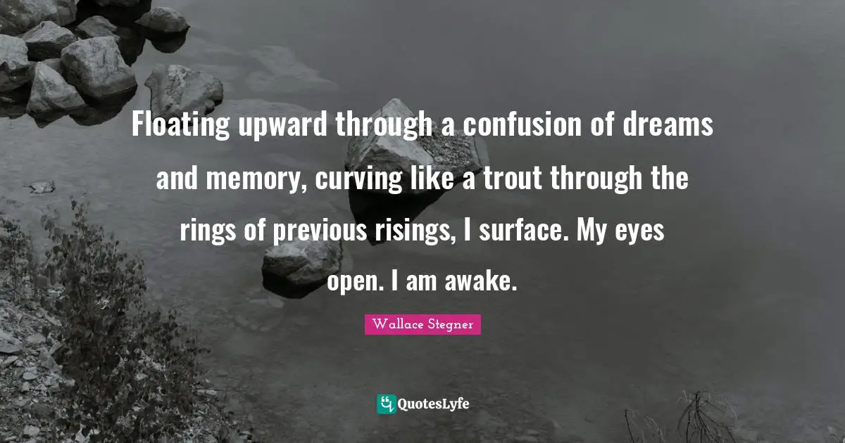 Floating upward through a confusion of dreams and memory, curving like a trout through the rings of previous risings, I surface. My eyes open. I am awake.