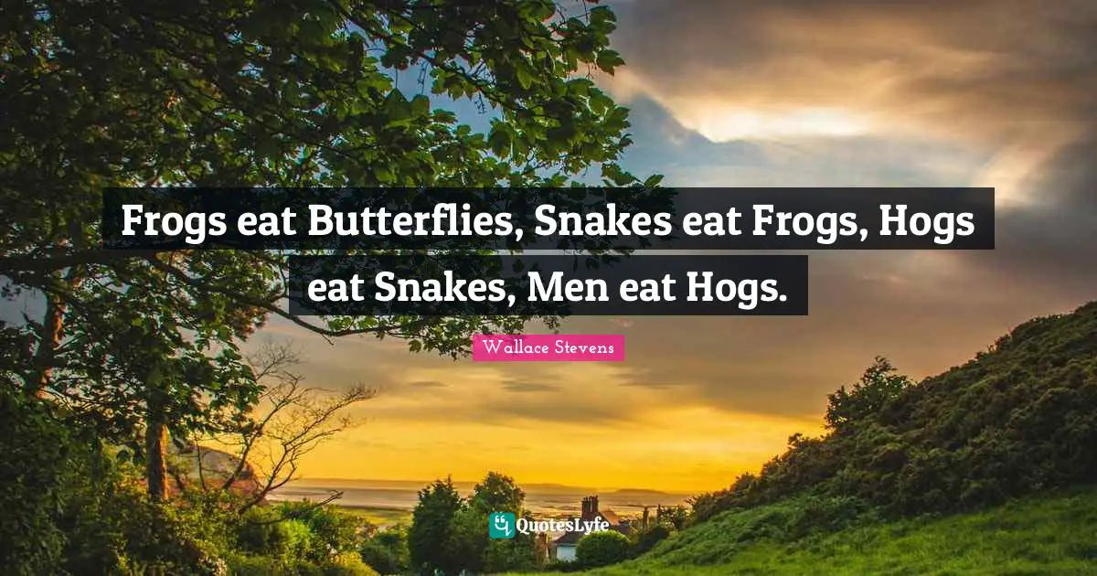 Frogs eat Butterflies, Snakes eat Frogs, Hogs eat Snakes, Men eat Hogs.