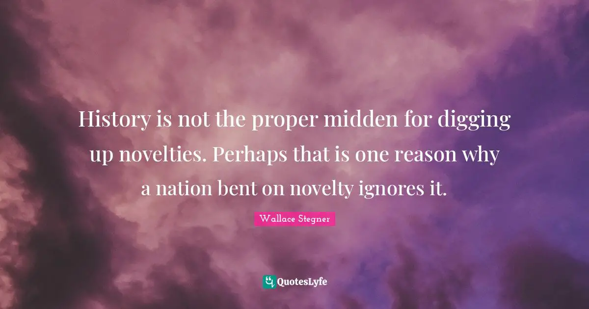 History is not the proper midden for digging up novelties. Perhaps that is one reason why a nation bent on novelty ignores it.
