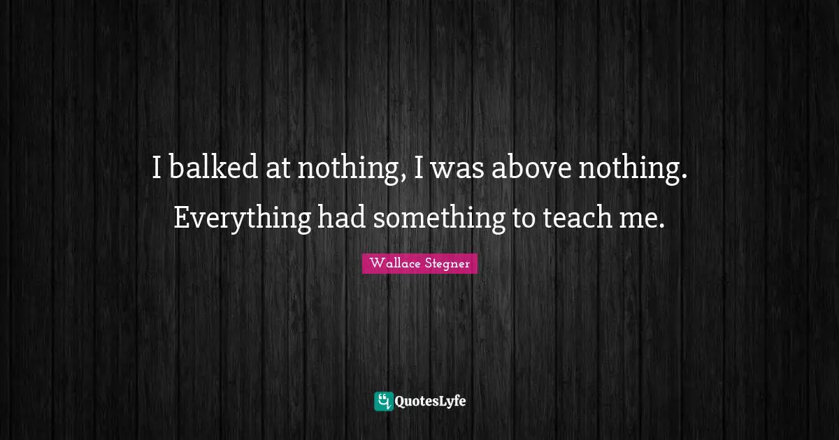 I balked at nothing, I was above nothing. Everything had something to teach me.