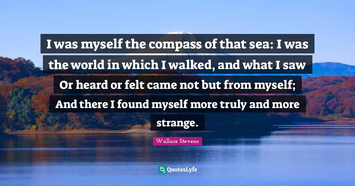 I was myself the compass of that sea: I was the world in which I walked, and what I saw Or heard or felt came not but from myself; And there I found myself more truly and more strange.
