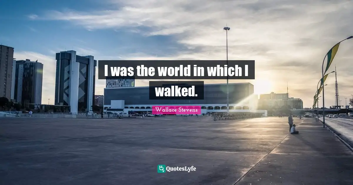 I was the world in which I walked.