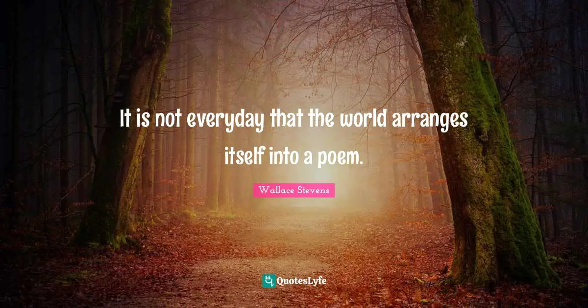 It is not everyday that the world arranges itself into a poem.