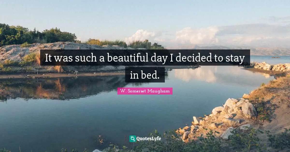 It was such a beautiful day I decided to stay in bed.