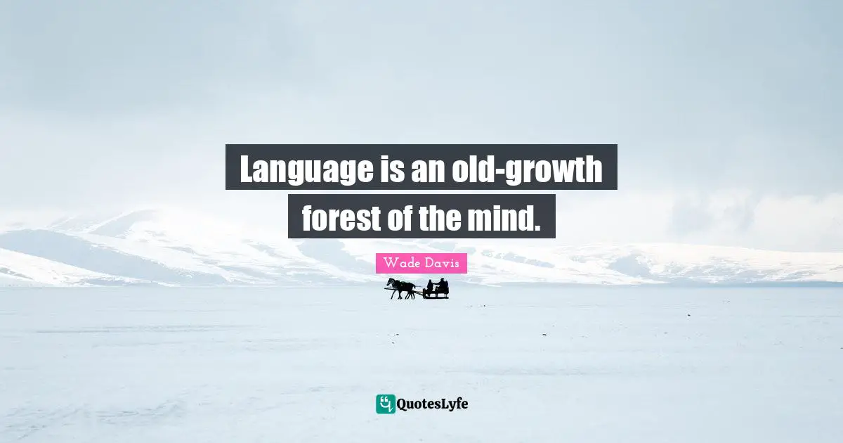 Wade Davis Quotes: "Language is an old-growth forest of the mind."