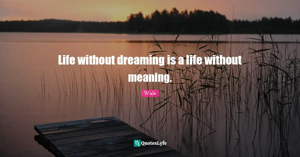 Wale Quotes: Life without dreaming is a life without meaning.