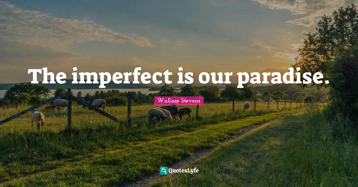 The imperfect is our paradise.