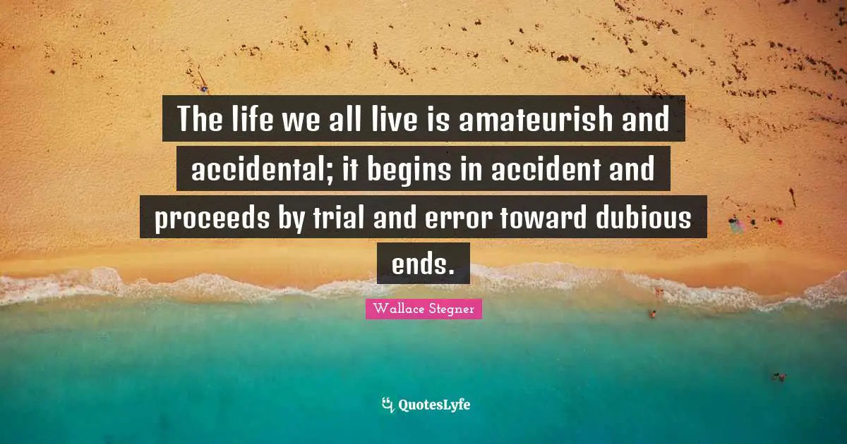 The life we all live is amateurish and accidental; it begins in accident and proceeds by trial and error toward dubious ends.